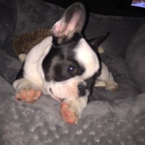 Meet your Posher, Candice